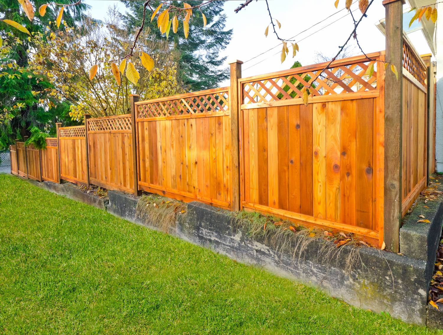 fence repair & installation around me